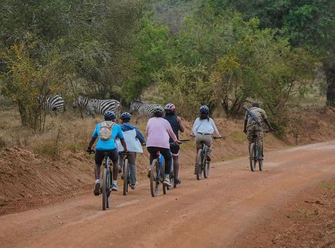 Mountain Bike Adventures