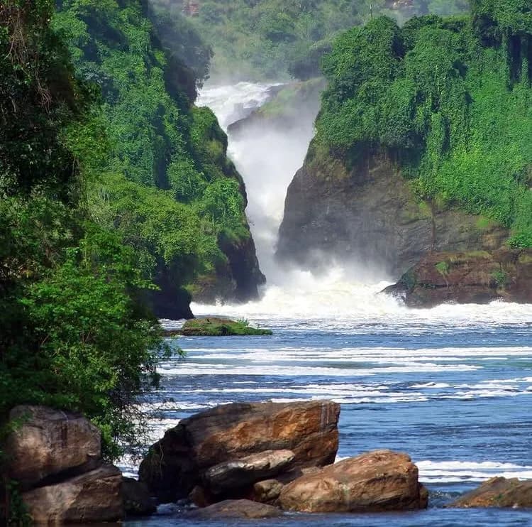 3-Day Murchison Falls National Park
