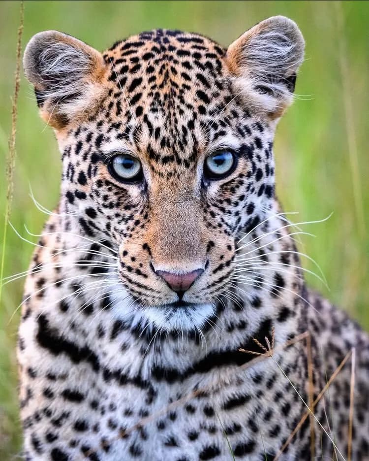 3-Day Kidepo National Park