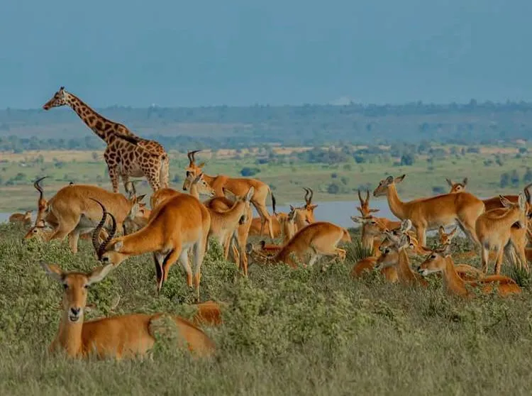 Mountain Bike Adventures