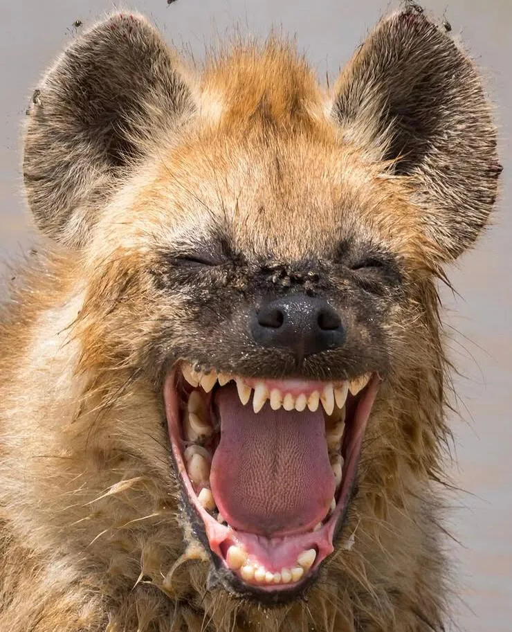 Photography Equipment