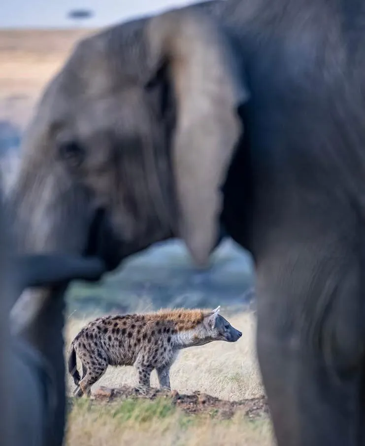 Group Transportation